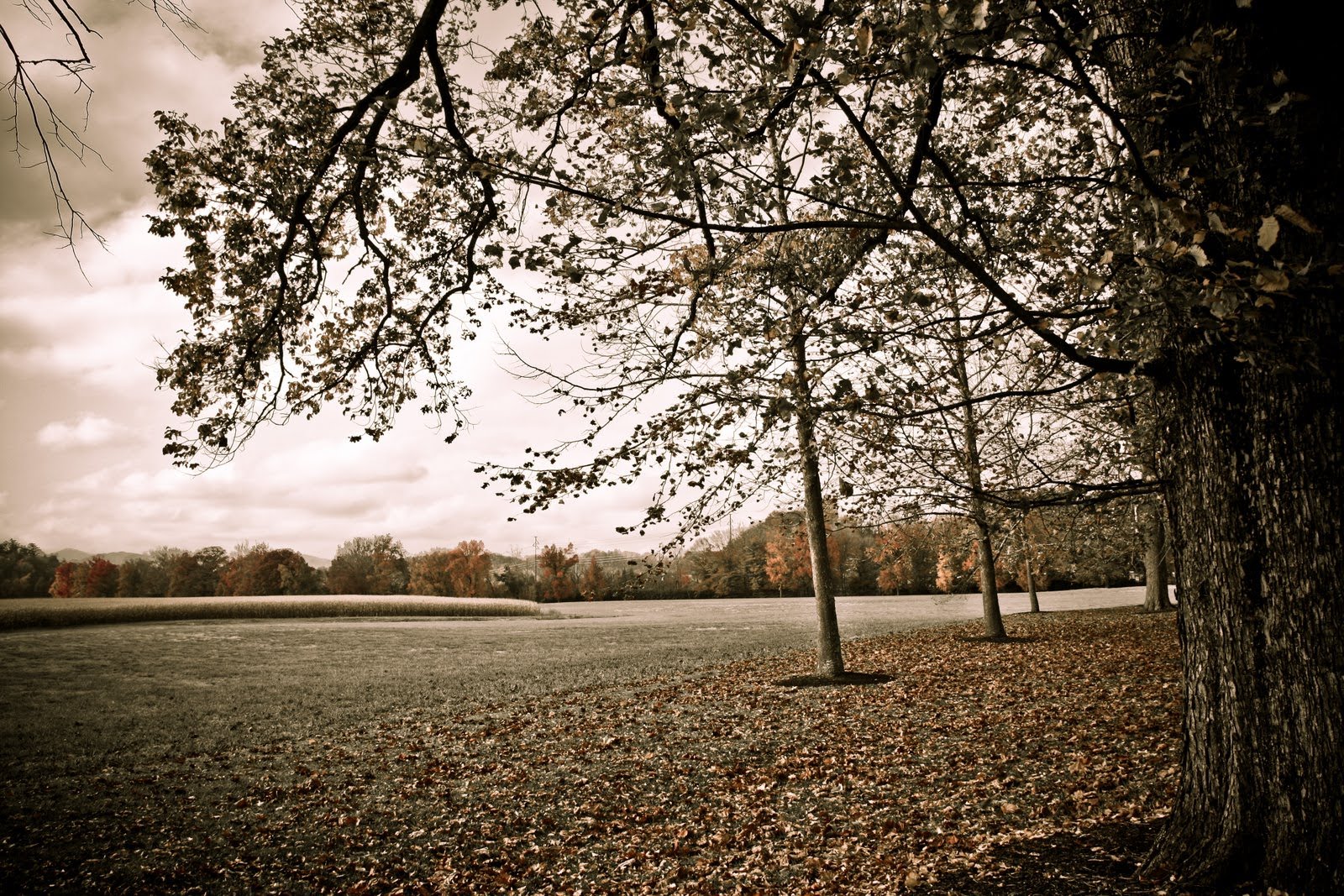 [asheville+biltmore-5781-2.jpg]