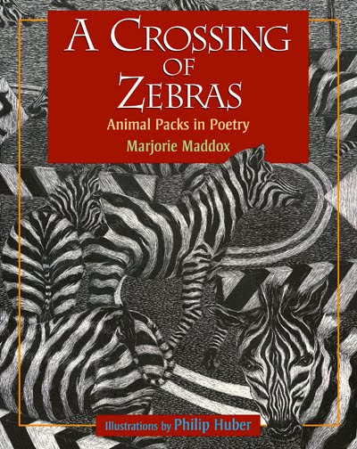 animal poems for children. of poems on animal