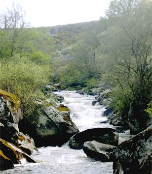 http://4.bp.blogspot.com/_Zi3Z7hqFHqU/TNvW5FI6otI/AAAAAAAAAL4/OazVQ8x_mLw/s1600/RIOS%2BMURMURANTES.jpg