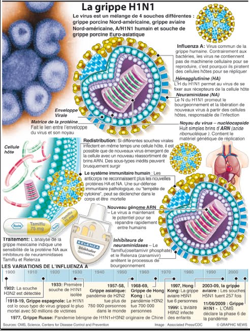 La carte d'identité du virus H1N1