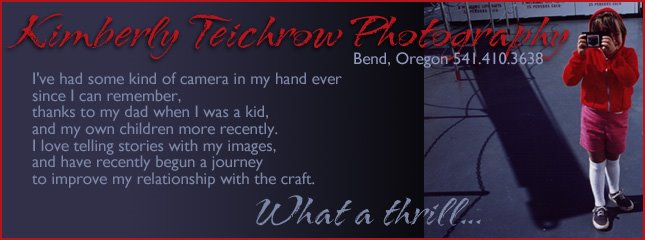 Kimberly Teichrow Photography
