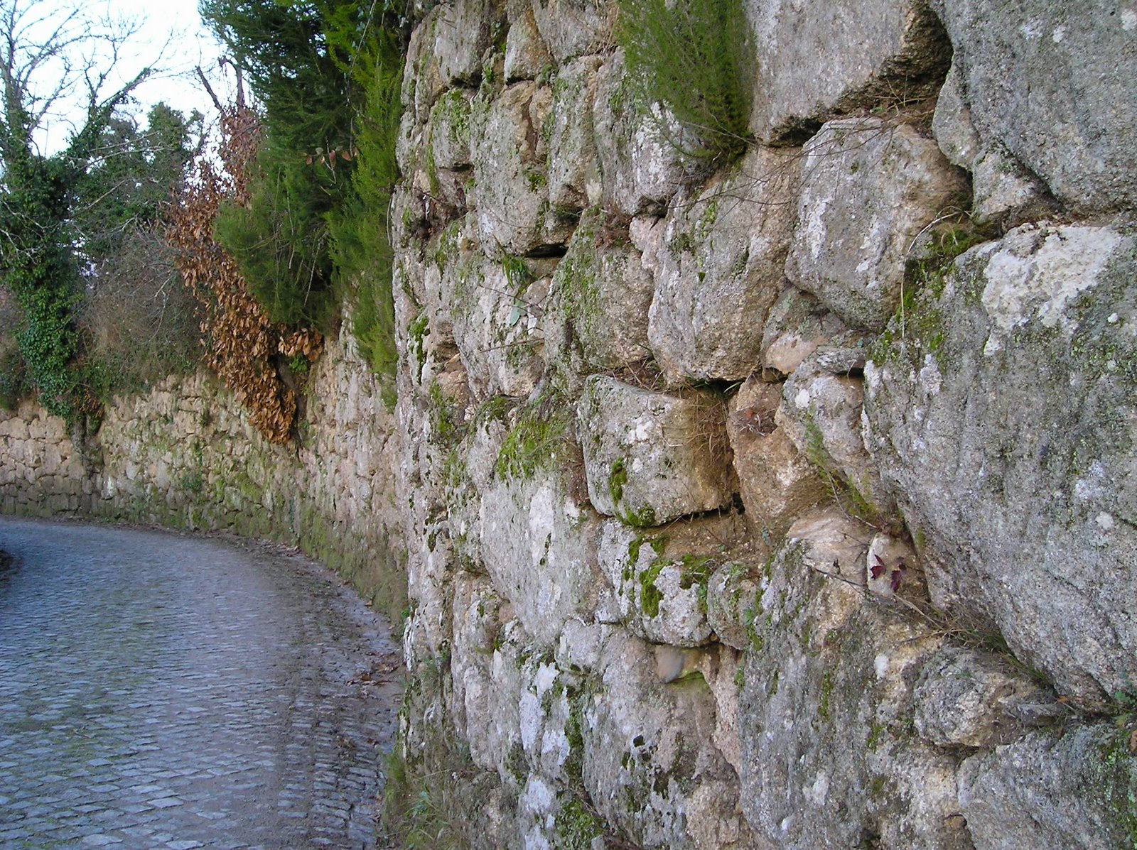 [P1010049.JPG]