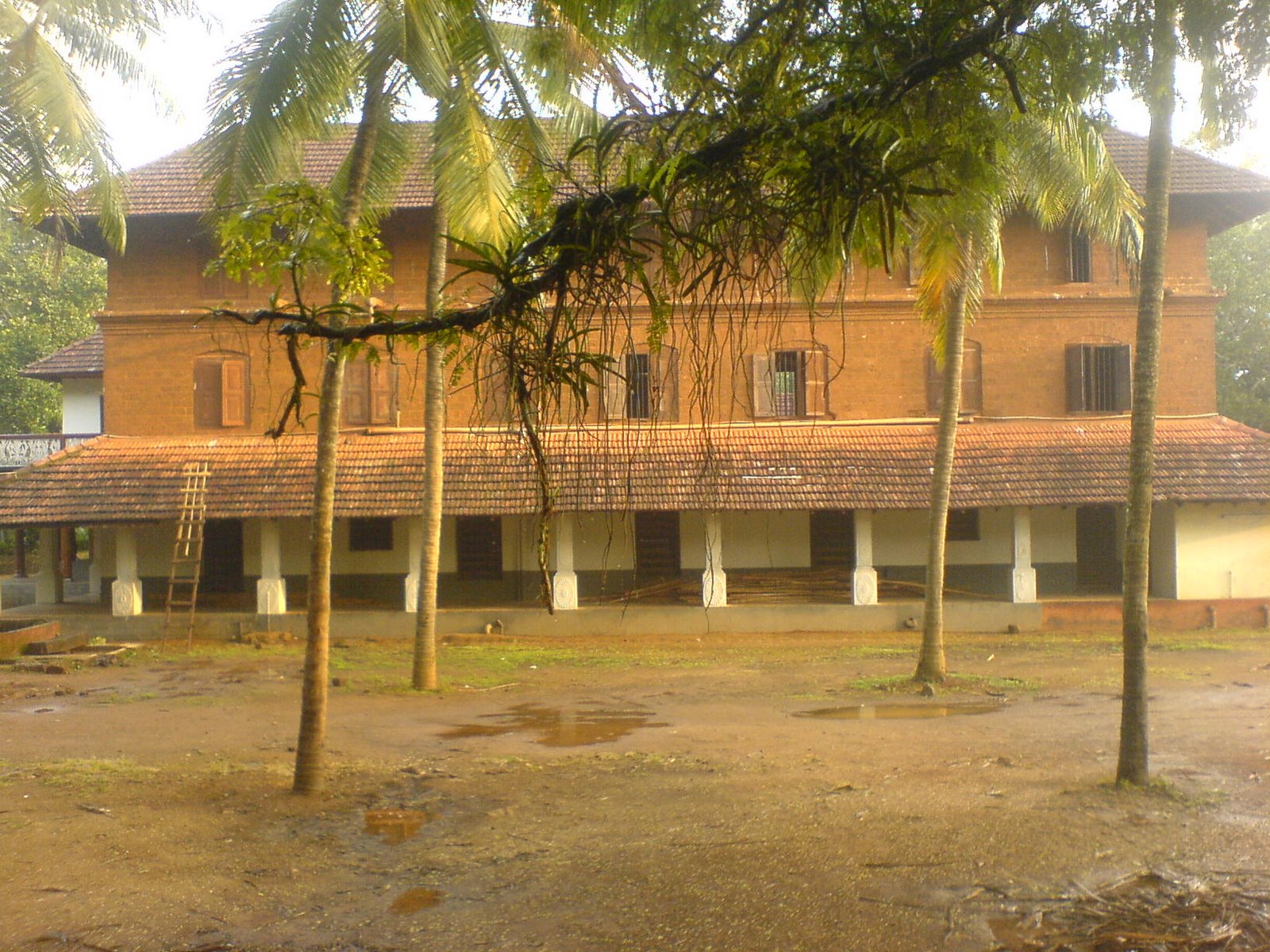 [illam+(3).JPG]