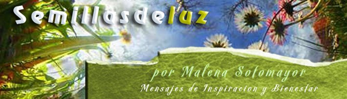 Semillas de Luz