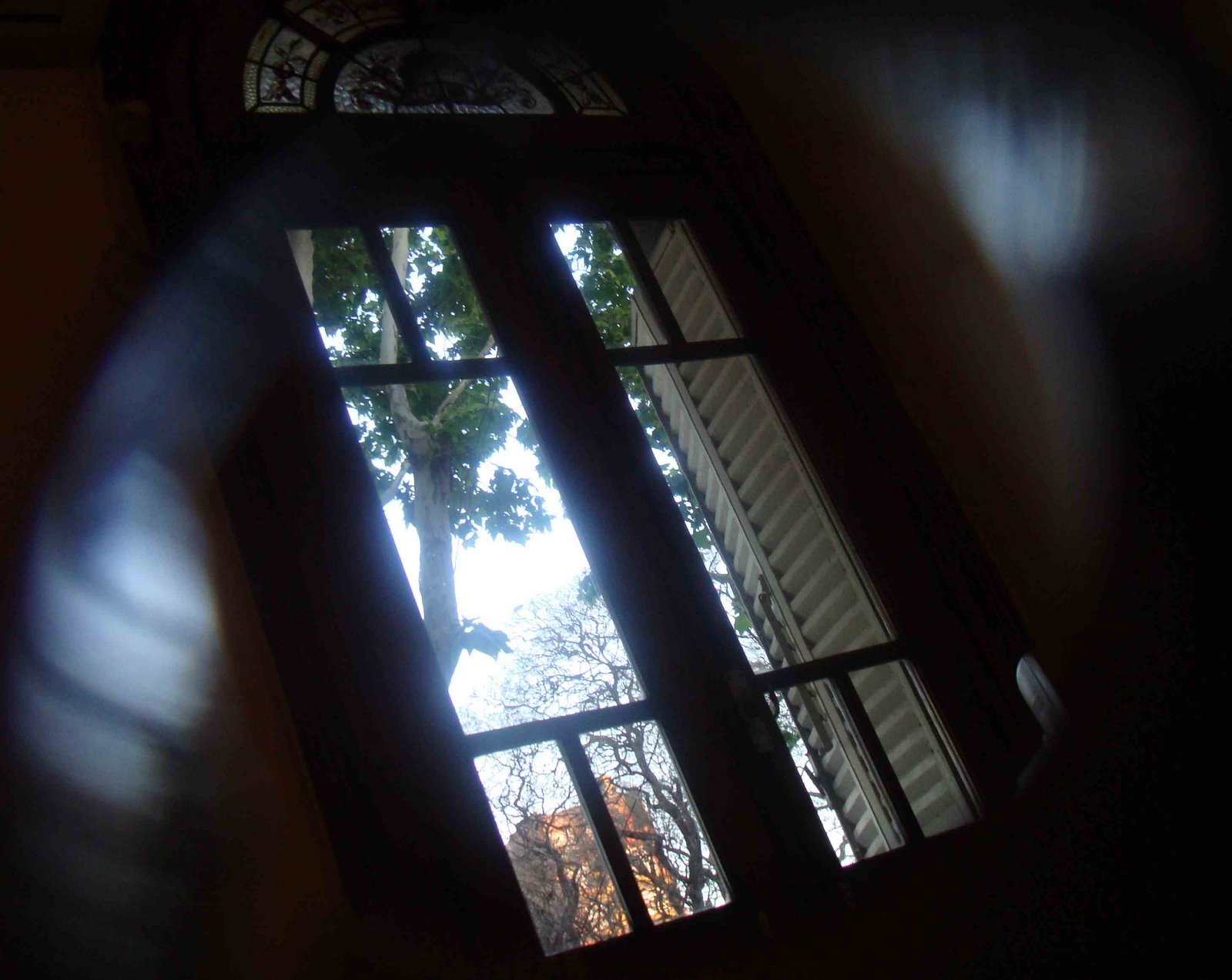 [ventana.jpg]
