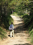 Camino de Santiago