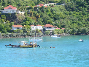 La photo du jour- Photo of the day