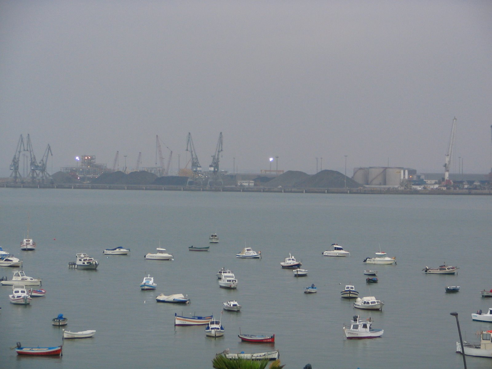 [IMG_0291.JPG]
