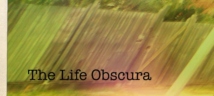 The Life Obscura