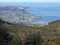 Mi tierra mágica