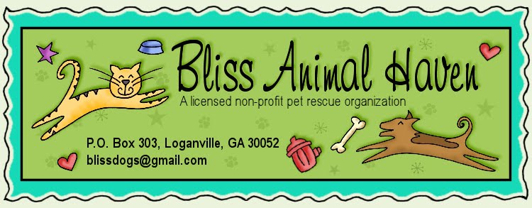 Donations to Bliss Animal Haven