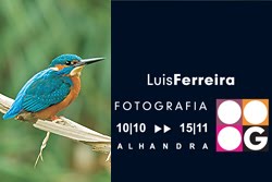 Workshops & Eventos