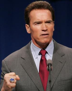 [ArnoldSchwarzeneggermeanie.jpg]