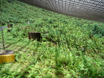 [DSC02623.jpg]
