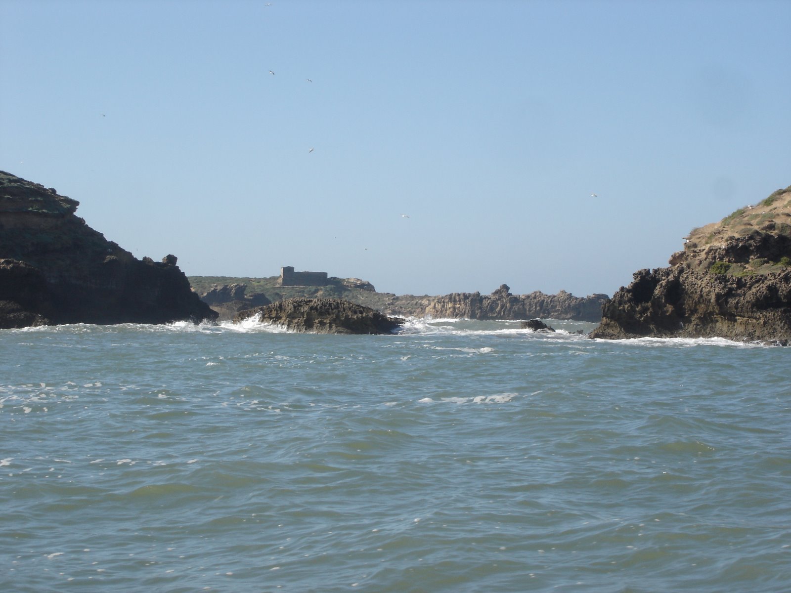 [DSC03295.JPG]
