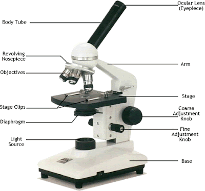 microscope work