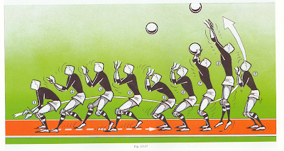 GOLPE VOLEIBOL golpe voleibol: