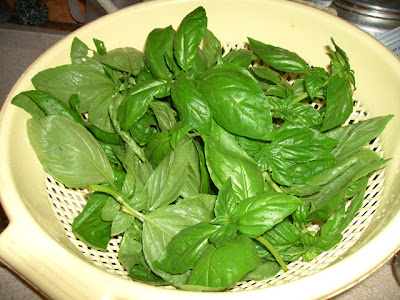 basil in a strainer