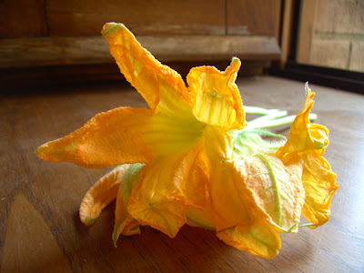 zucchini flowers zucchini flowers