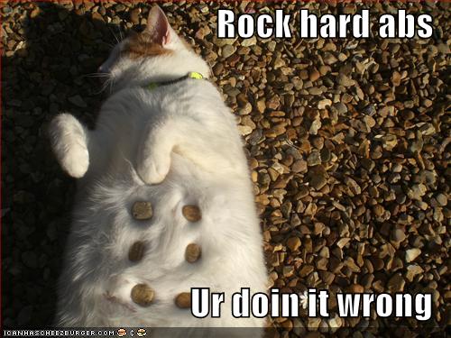 [funny-pictures-your-cat-has-rock-hard-abs.jpg]