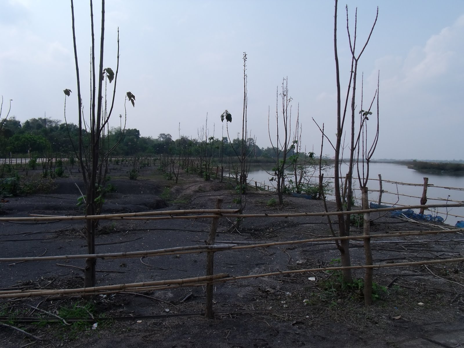 [DSCF1901.JPG]