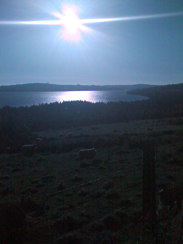 [diverse+ireland+079.JPG]