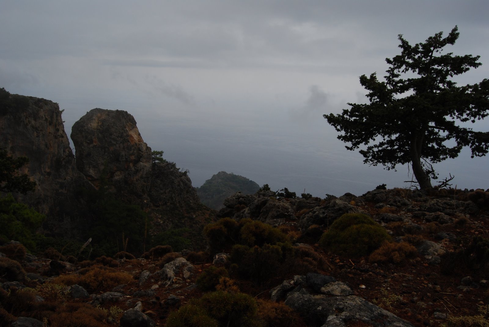 [DSC_4402.JPG]