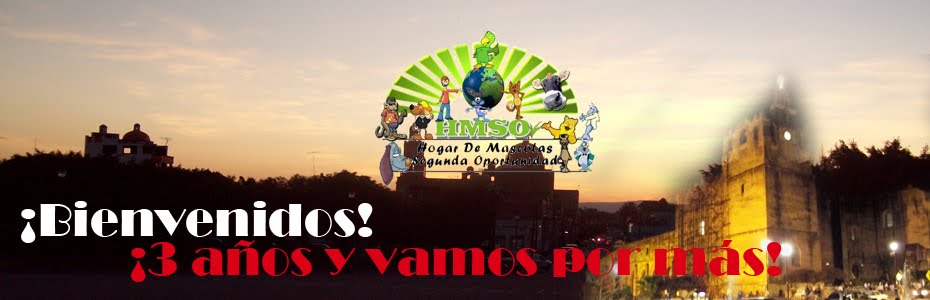 Hogar de Mascotas Segunda Oportunidad de Yuriria Guanajuato México