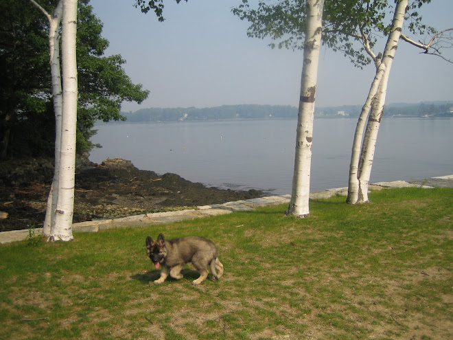 Cruising Great Bay