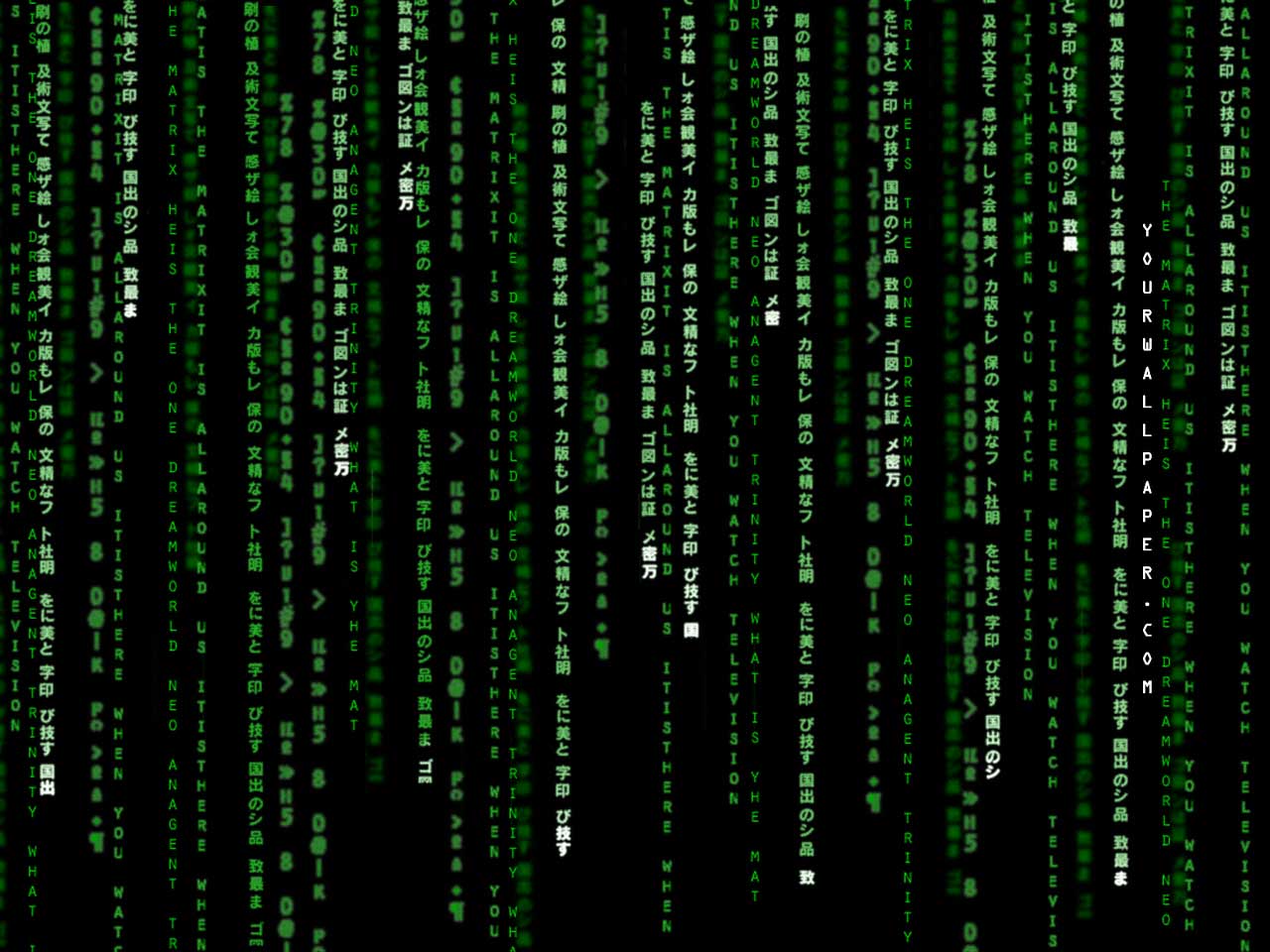 http://4.bp.blogspot.com/_ZsIs9hUKwzI/TGNUMOR-IjI/AAAAAAAAARg/e1m_bi4taB4/s1600/matrix-wallpaper-31-1280.jpg