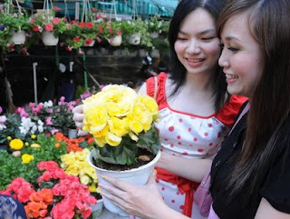 Woman choice best beautiful flower for her family Woman choice best beautiful flower for her family
