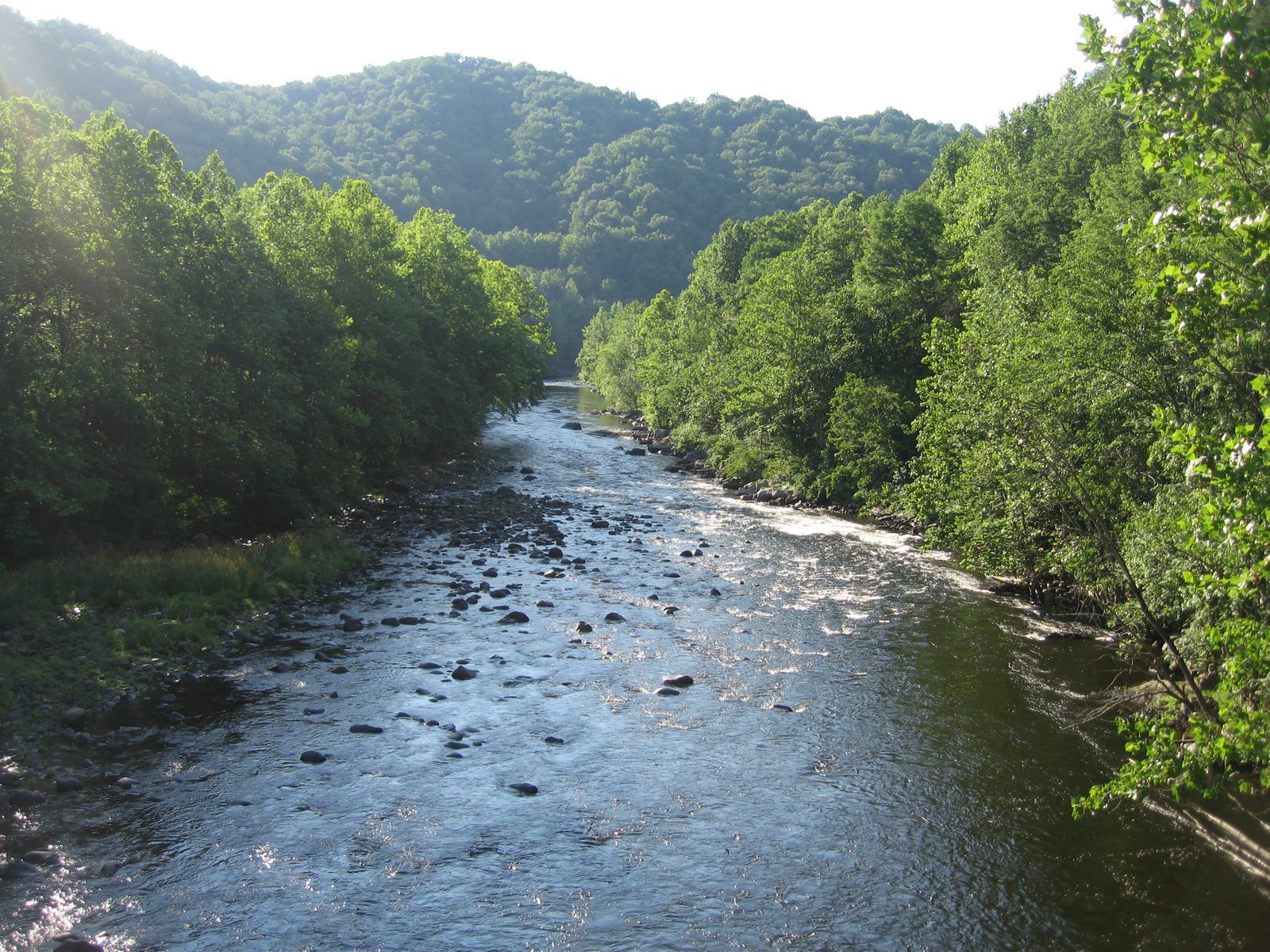 [IMG_6628.JPG]