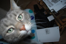 My Photo