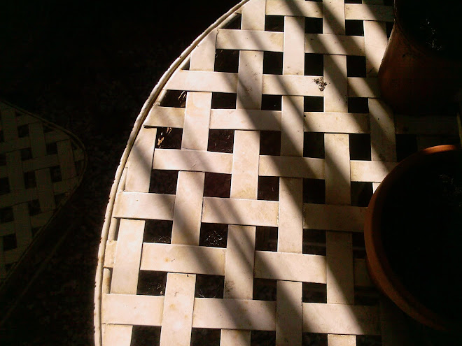 TABLE WITH CORDYLINE SHADOWS