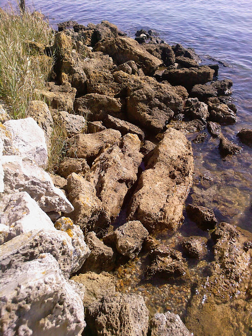 ROCKS AND SEA