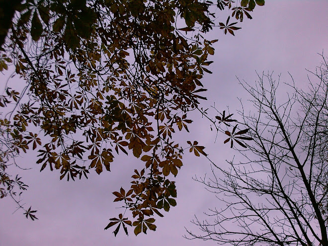 LEAVES AND BRANCHES