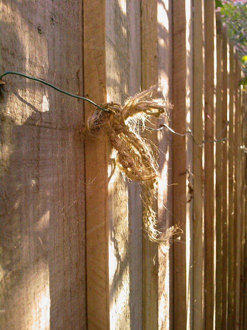 STRING ON A FENCE