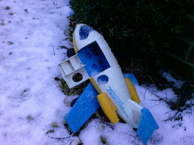 CRASHED PLANE IN SNOW