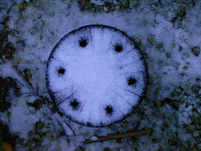 THE UPTURNED PLASTIC FLOWER POT IN SNOW