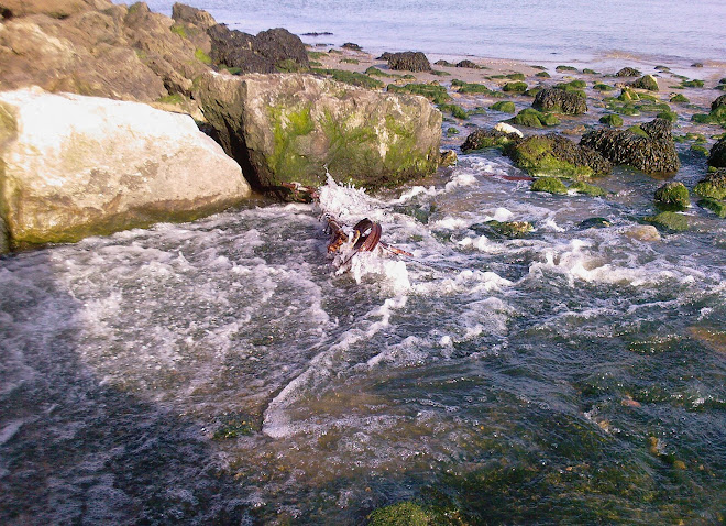 AND STILL THE SEA BEATS AGAINST THE BIKE