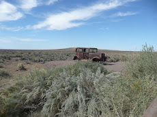 Route 66 overgrown