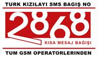 Kızılay 2868 Kızılay 2868