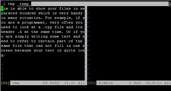 Vim Tabs
