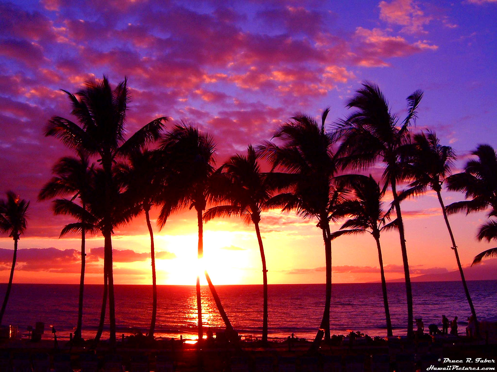 Maui Photography