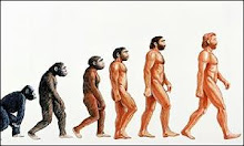 EVOLUCION DEL HOMBRE