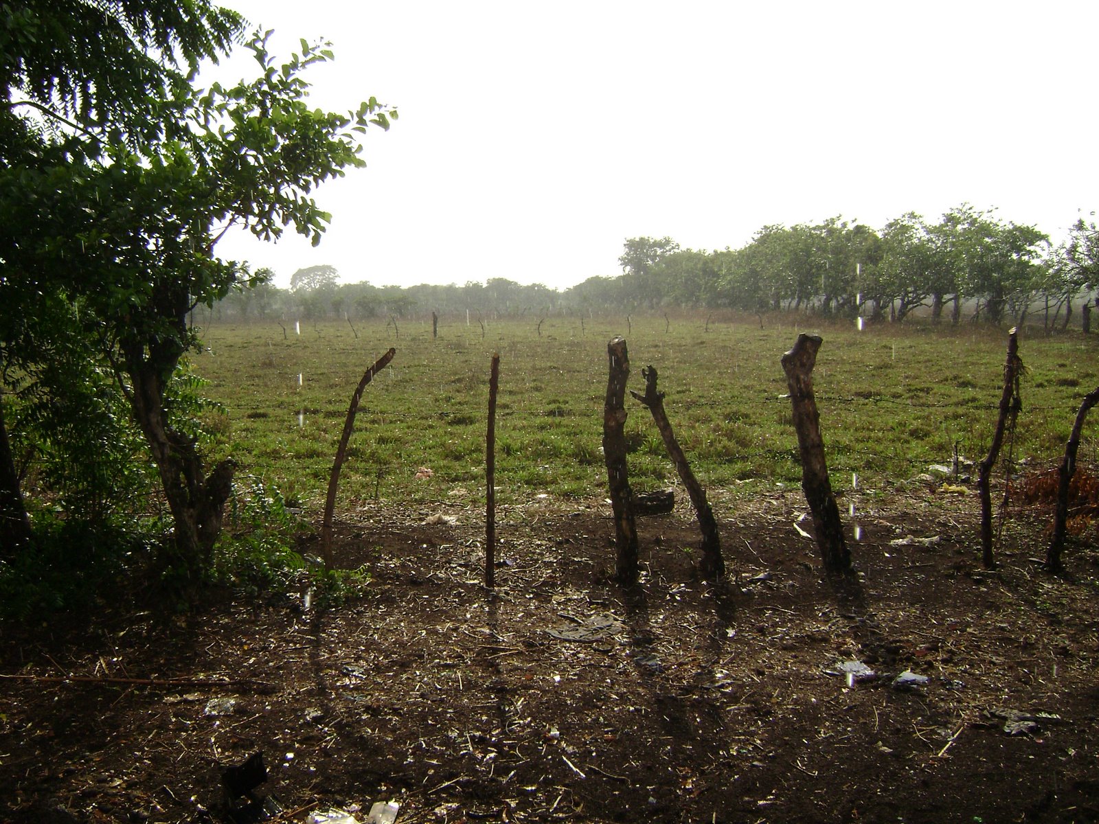 [DSC00045.JPG]