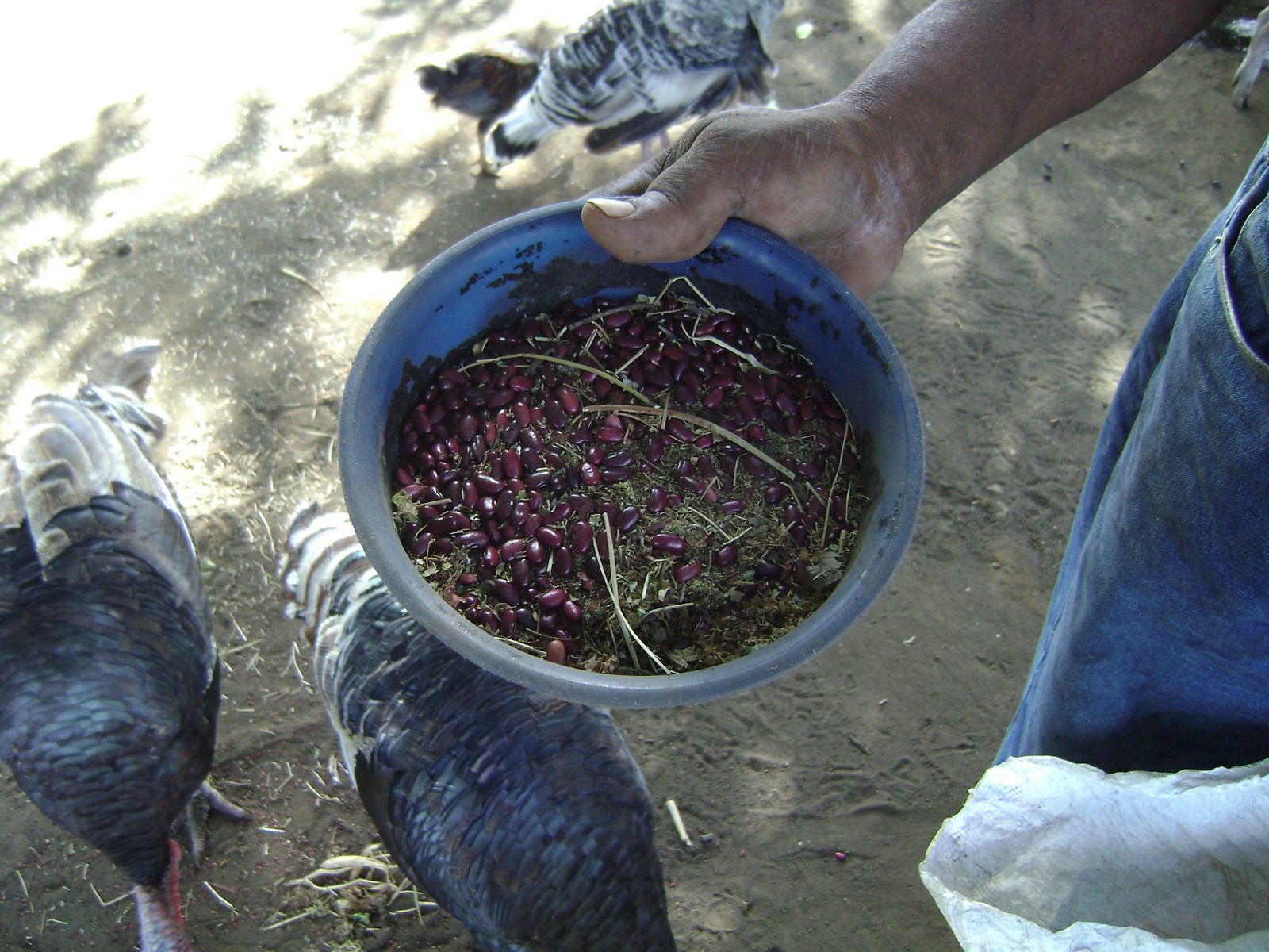 [DSC00034.JPG]