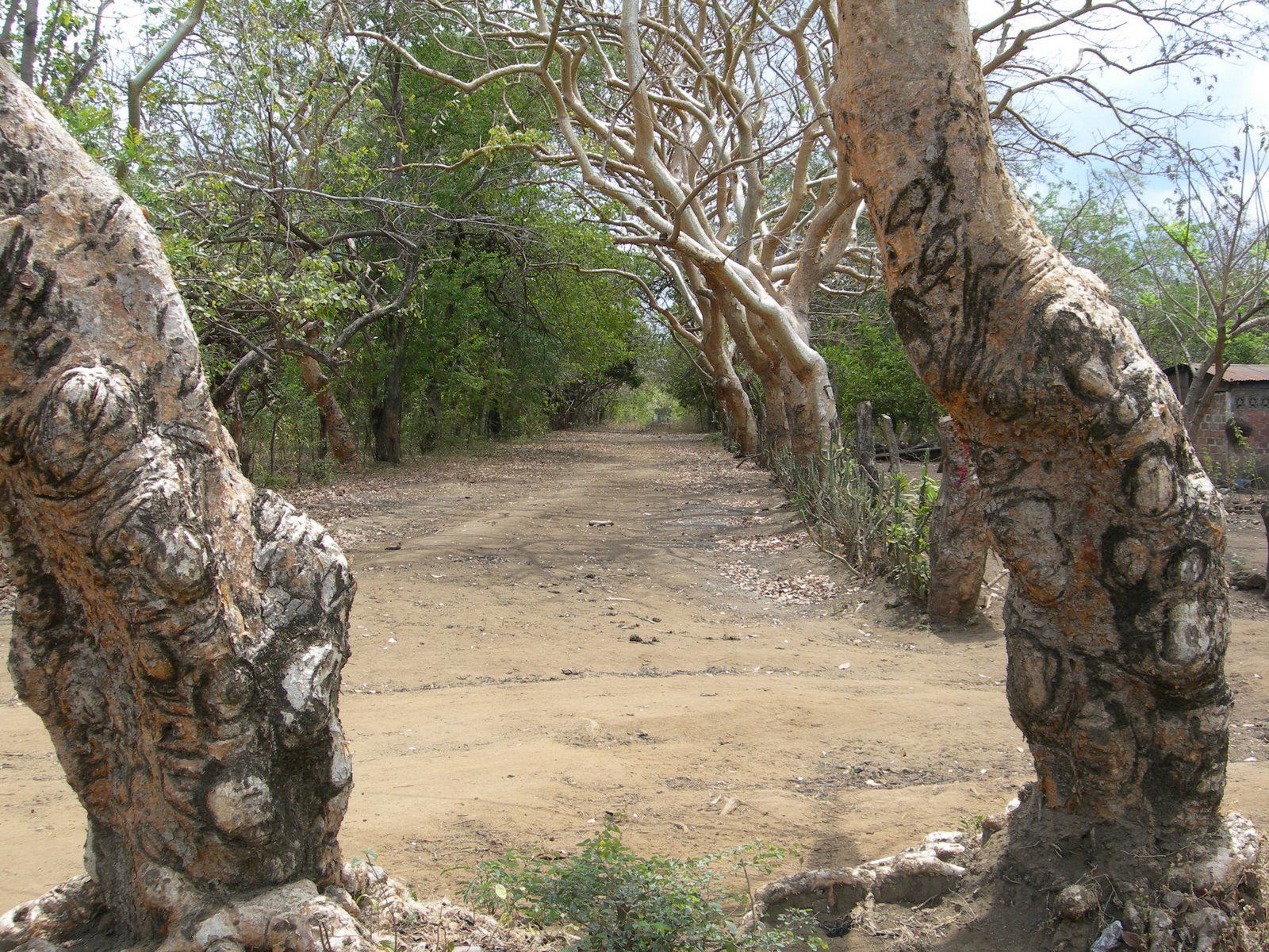 [DSCN3074.JPG]