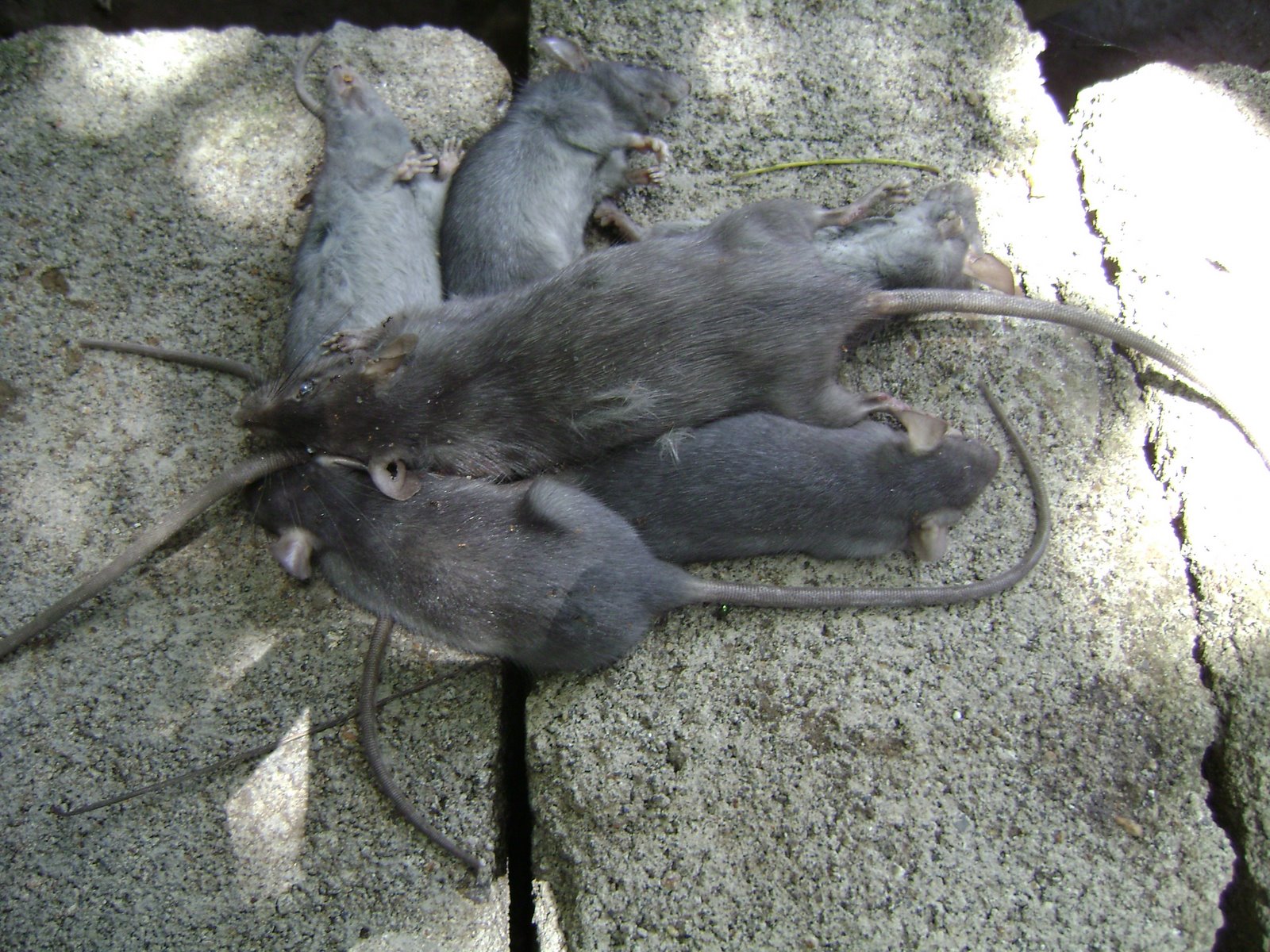 [DSC00003.JPG]