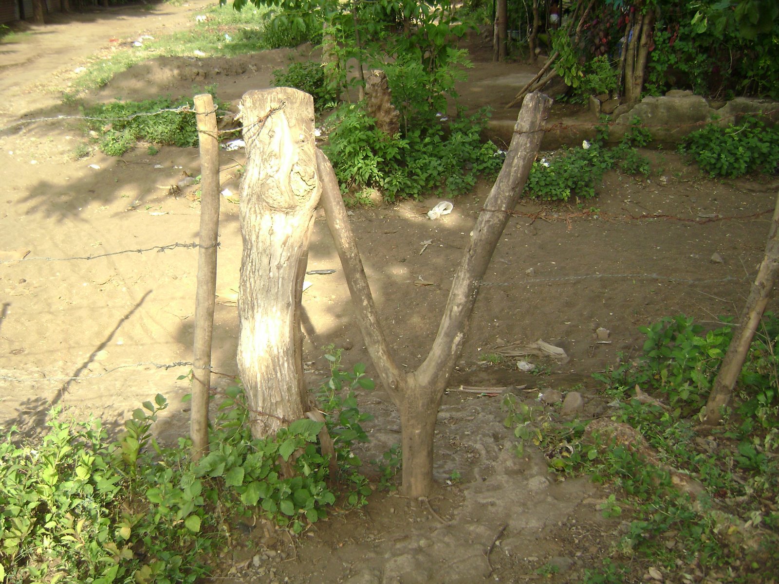 [DSC00008.JPG]